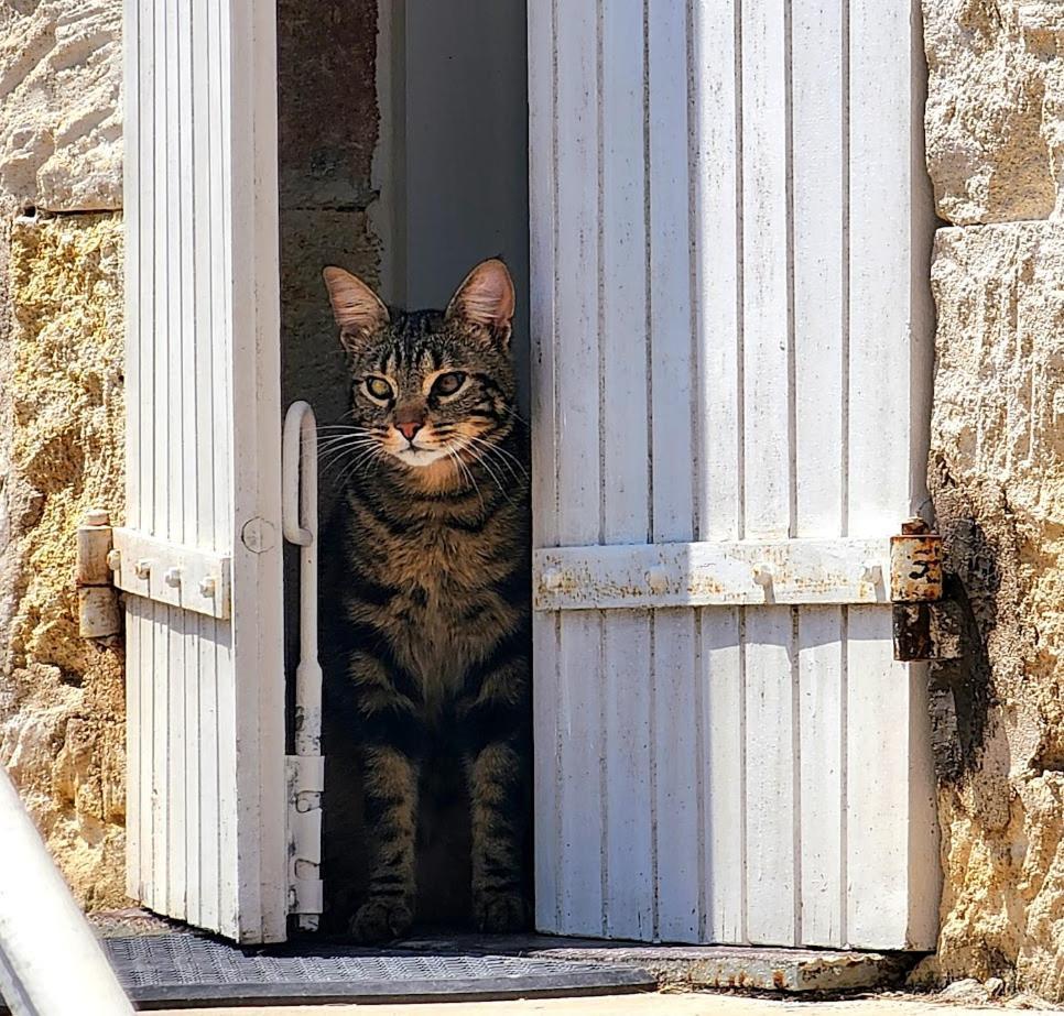 Gite Le Bonheur Hiersac Exterior foto